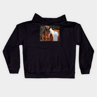 Assateague Pony Ms Macky Portrait Kids Hoodie